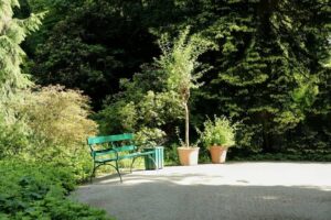 Tips for Creating a Relaxing Outdoor Garden Space at Home